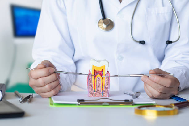 Best After-Hours Emergency Dentist in Cobden, IL